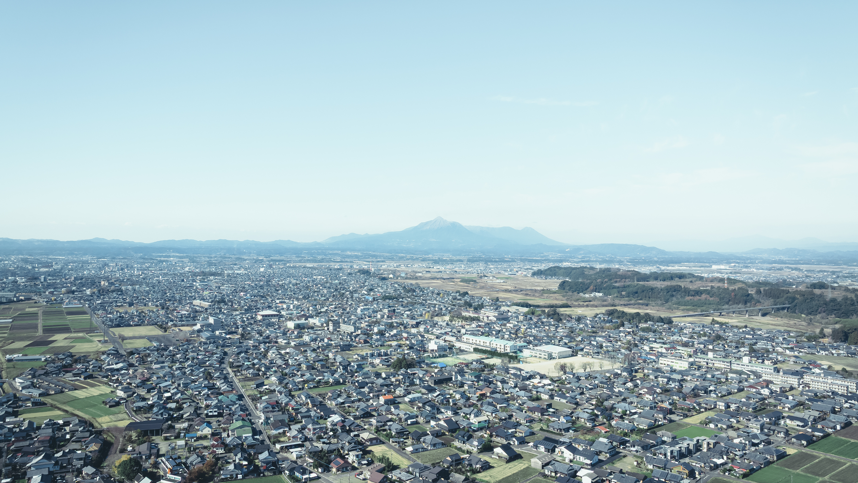 上原林業について