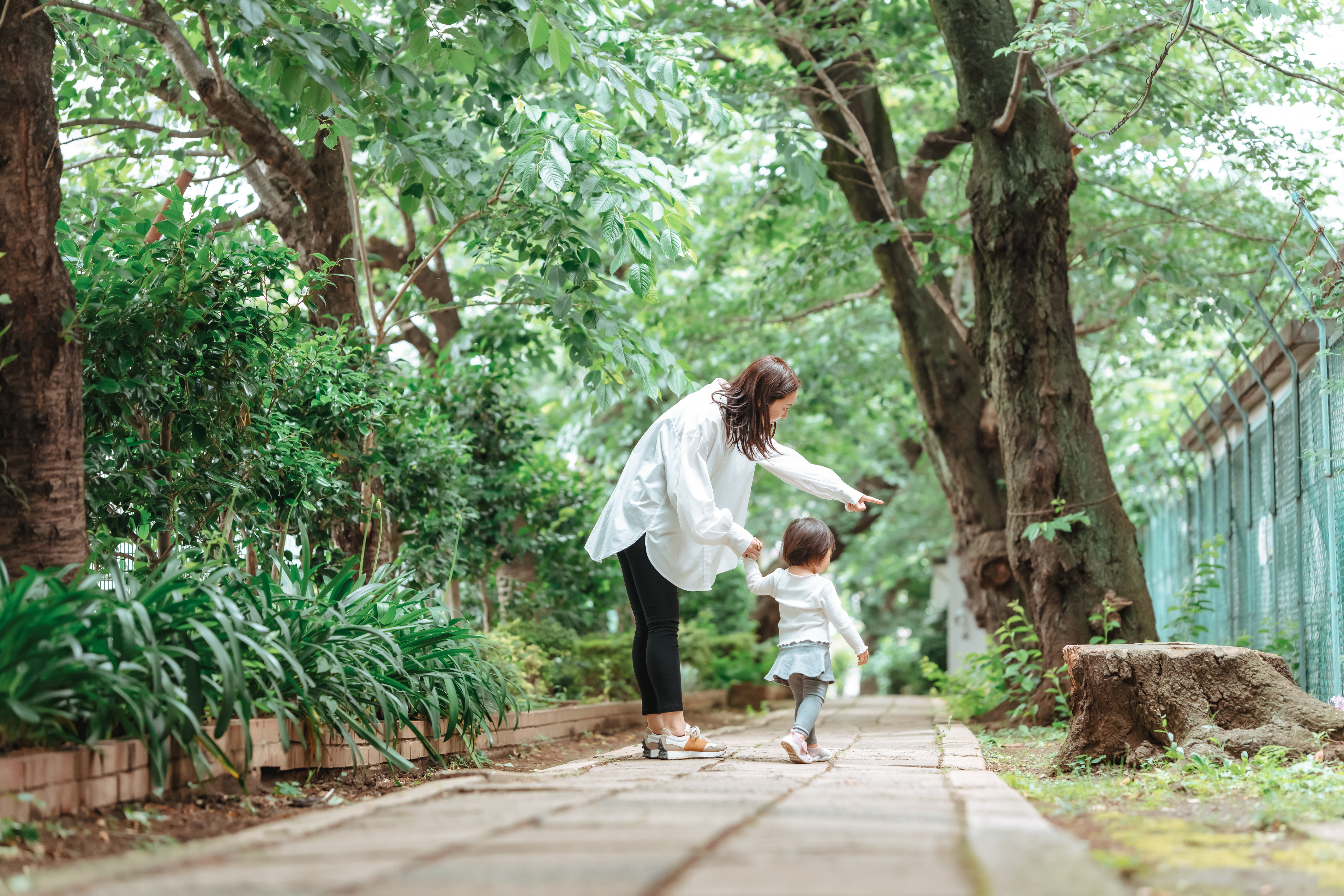 上原林業について
